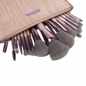 Bh brush set